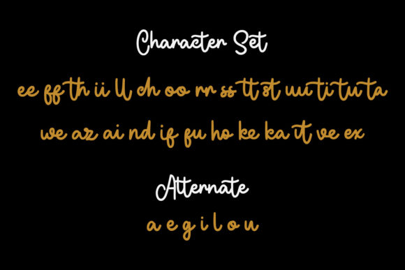 Boy Flare Font Poster 10