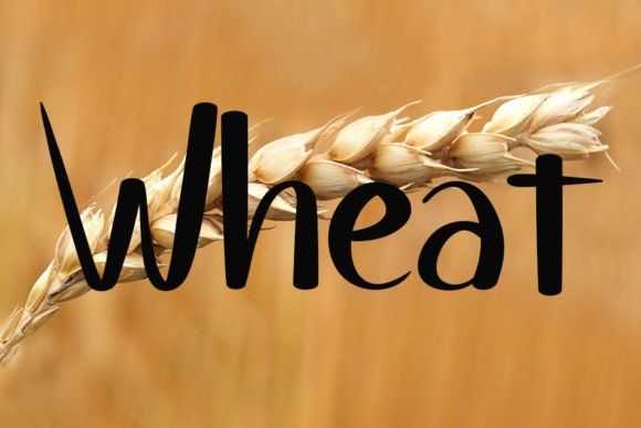 Bread Food Font Poster 2