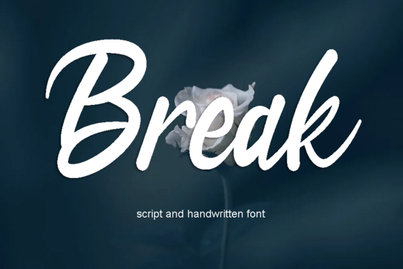 Break Font Poster 1