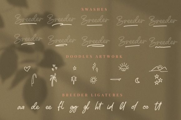 Breeder Font Poster 13