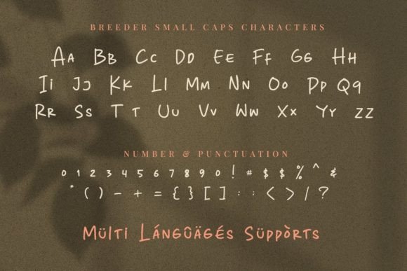 Breeder Font Poster 14