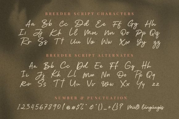 Breeder Font Poster 15