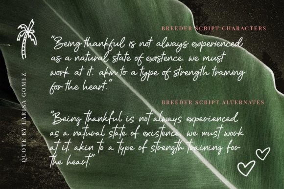 Breeder Font Poster 9