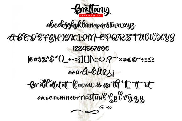 Brettany Font Poster 5