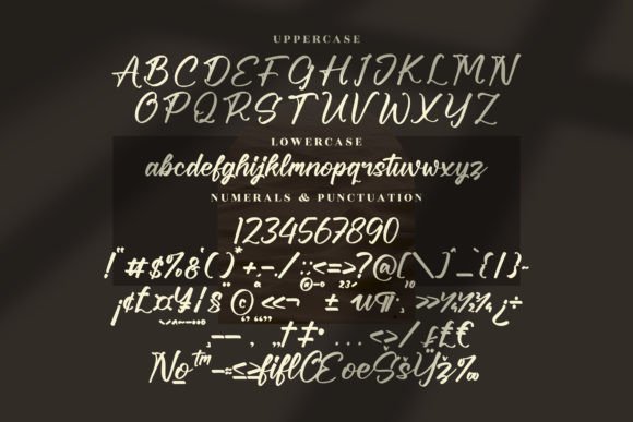 Bricyte Howela Font Poster 11