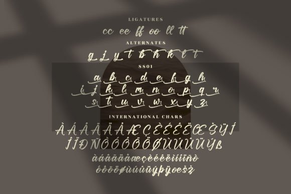 Bricyte Howela Font Poster 12