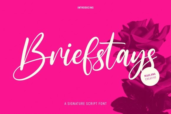 Briefstays Font