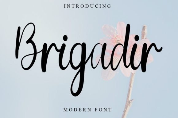 Brigadir Font Poster 1