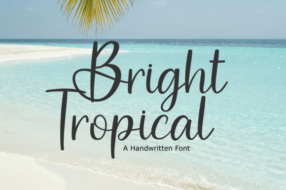 Bright Tropical Font Poster 1