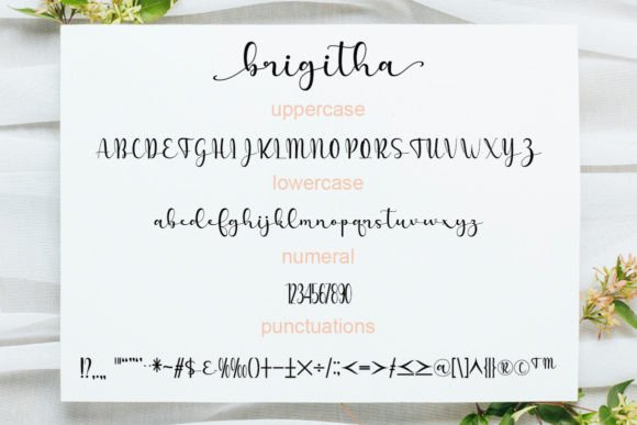 Brigitha Font Poster 5