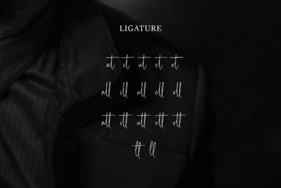Brilliant Elegant Font Poster 6