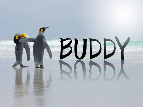 Buddy Font Poster 1