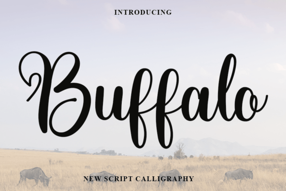 Buffalo Font Poster 1