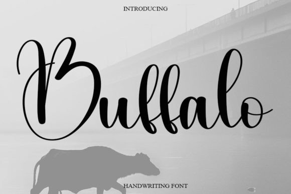 Buffalo Font