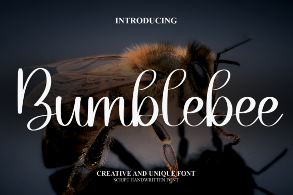 Bumblebee Font Poster 1