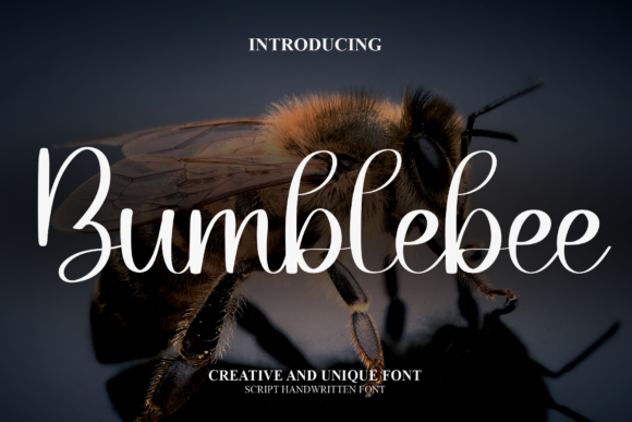 Bumblebee Font