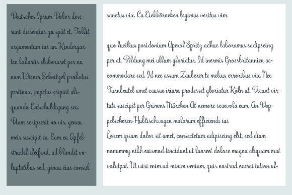 Bunchberry Font Poster 7