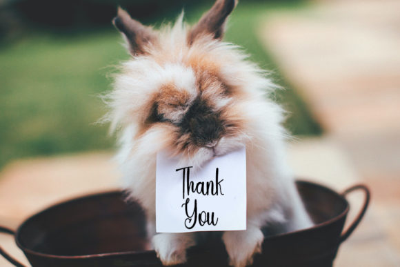 Bunny Font Poster 6