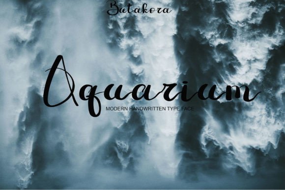 Butakora Font Poster 4