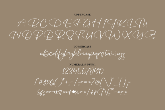 Buterflies Font Poster 13
