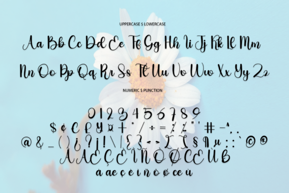 Butter Cake Font Poster 5