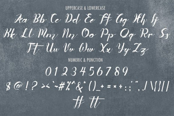 Butterfly Font Poster 7