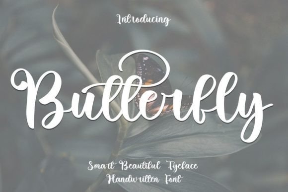 Butterfly Font