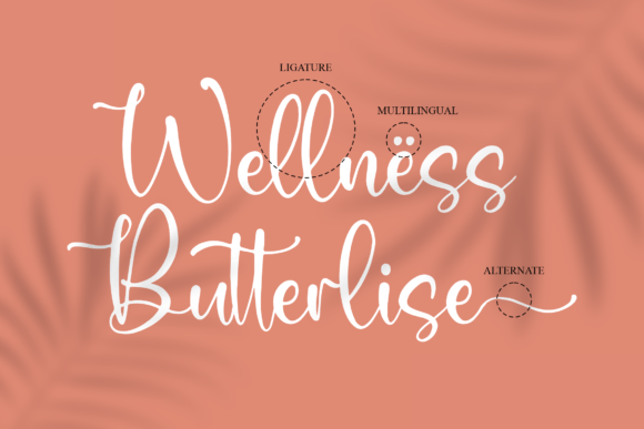 Butterlise Font Poster 12