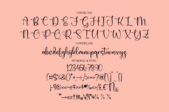 Butterlise Font Poster 13