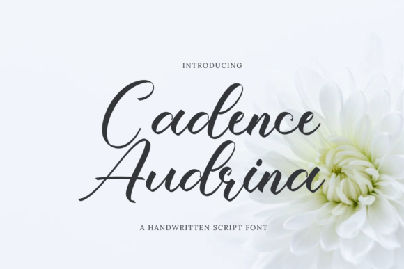 Cadence Audrina Font Poster 1