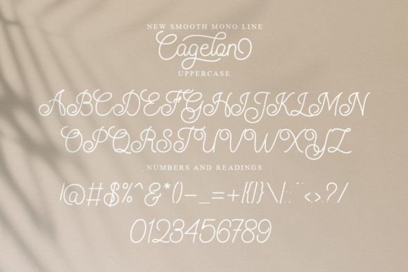 Cagelon Font Poster 7