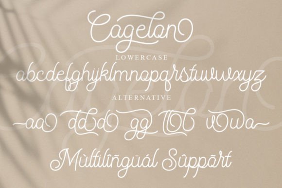 Cagelon Font Poster 8