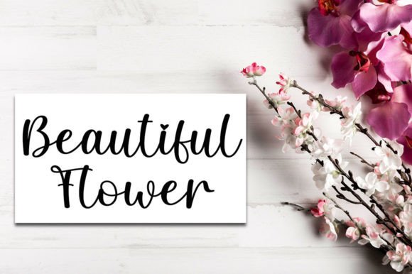 Caila Font Poster 2