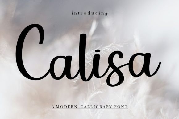 Calisa Font Poster 1