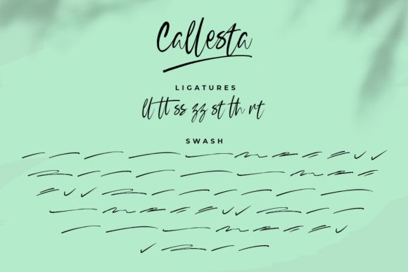 Callesta Font Poster 7