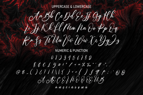 Calligraphy Brilliant Font Poster 7
