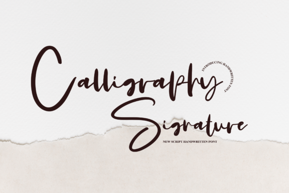 Calligraphy Signature Font Poster 1
