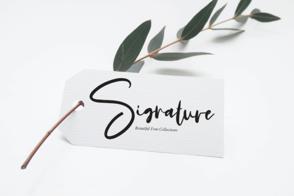Calligraphy Signature Font Poster 3