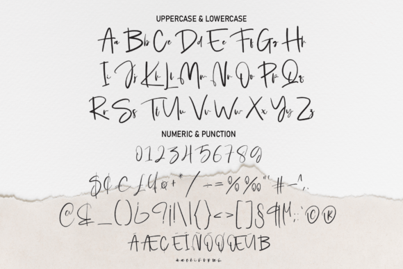 Calligraphy Signature Font Poster 7