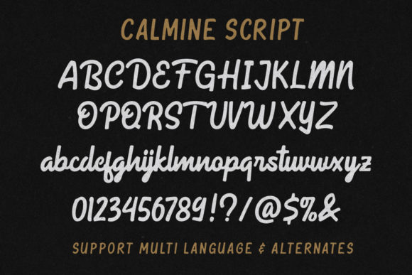 Calmine Duo Font Poster 7