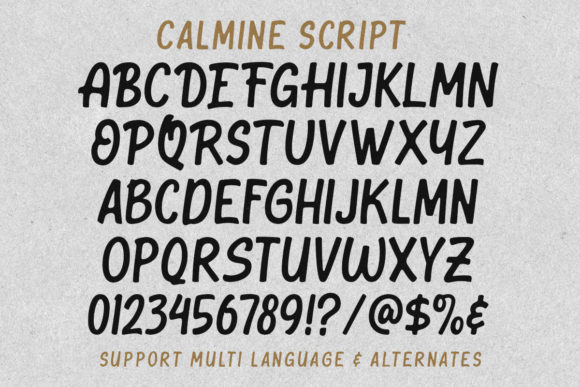 Calmine Duo Font Poster 8