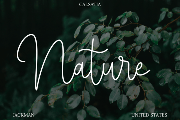 Calsatia Font Poster 3