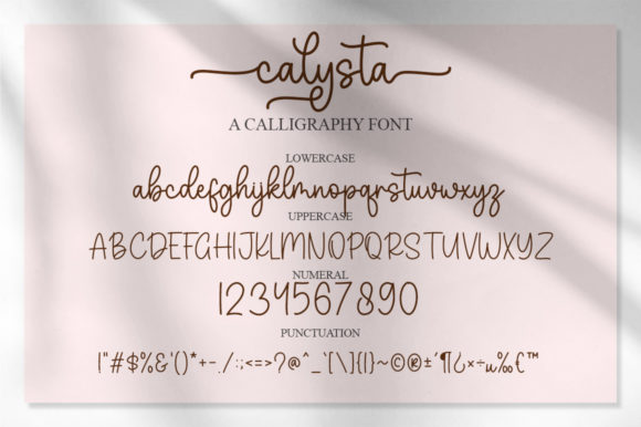 Calysta Font Poster 6