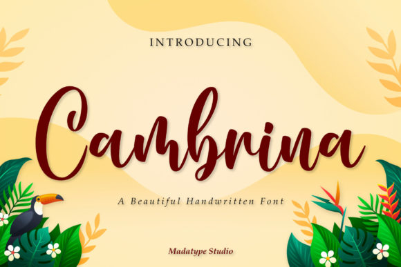 Cambrina Font Poster 1