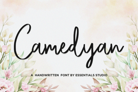 Camedyan Font Poster 1