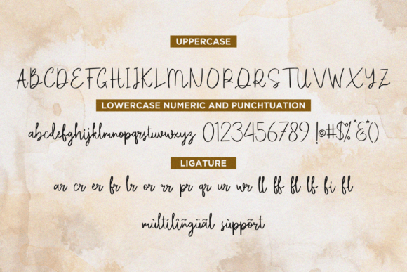 Camedyan Font Poster 8