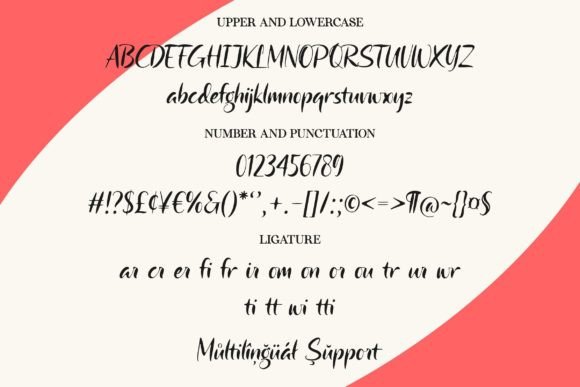 Camerota Font Poster 6