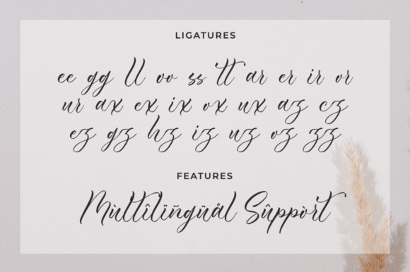 Candryna Font Poster 11