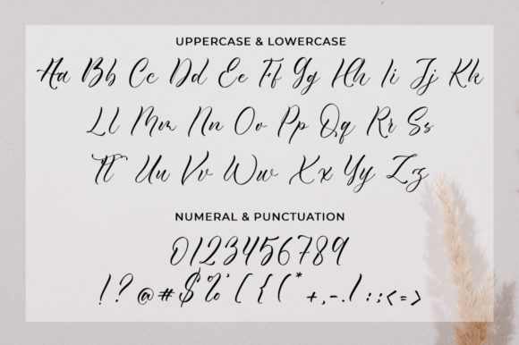 Candryna Font Poster 9