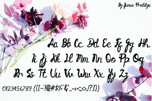 Candu Font Poster 5